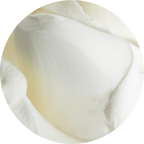 Neutro (Ice Cream, Gelato & Sorbetto Stabilizer)
