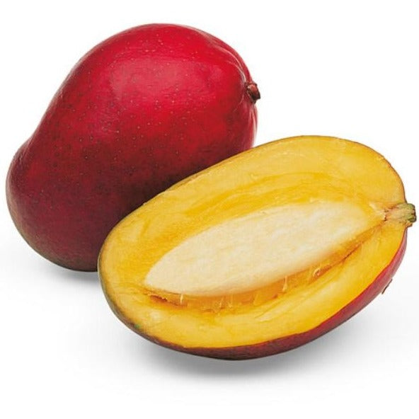 MEC3 - Mango Complete Flavor (1.25kg) - Gelato Paradise
